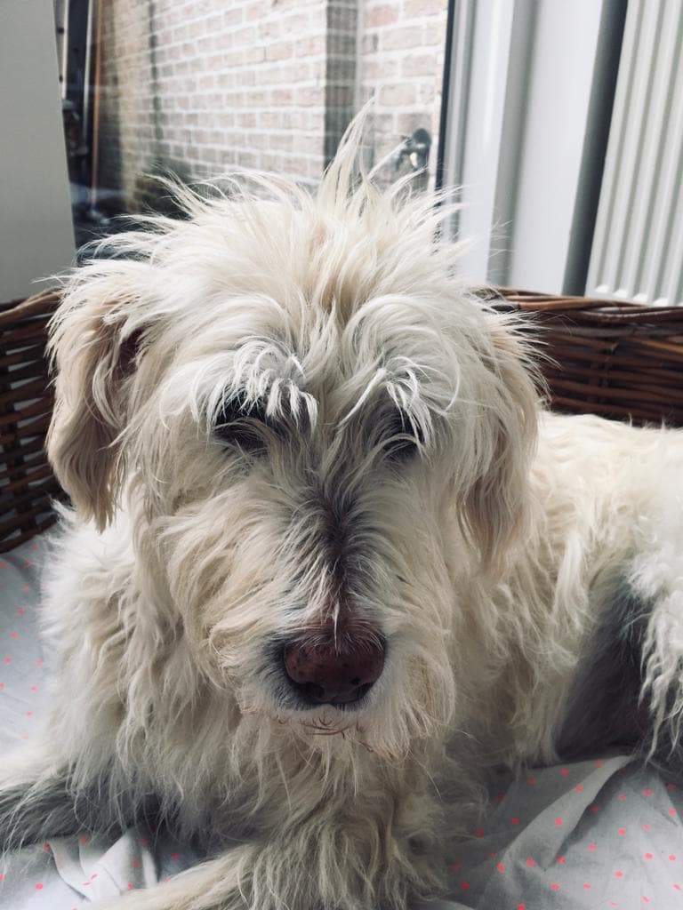 #11 Etwas Herzhaftes