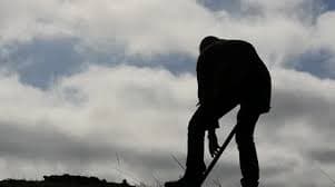 De oma, het konijn en de rare snuiter